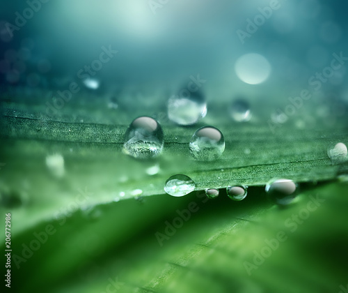 drops of dew on a close-up sheet