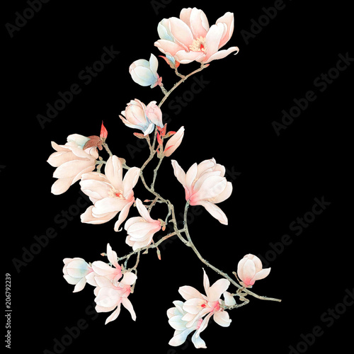 Watercolor magnolia flowers and branches