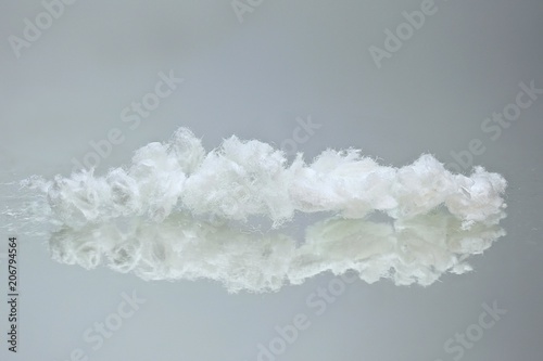 Cellulose fibers