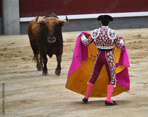 torero