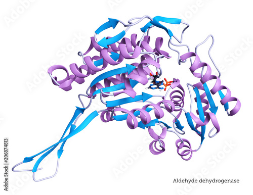 Aldehyde Dehydrogenase - 3D Rendering