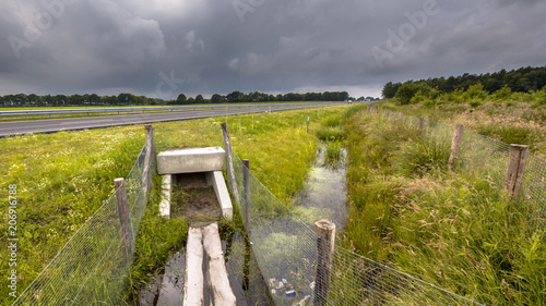 Square Wildlife crossing culvert underpass