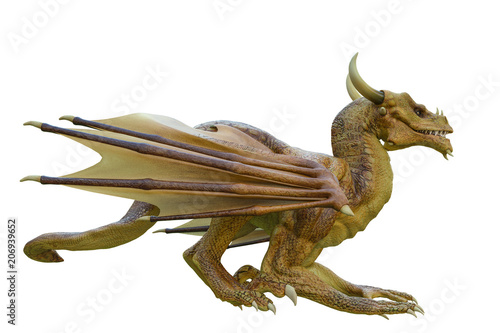 yellow dragon in a white background