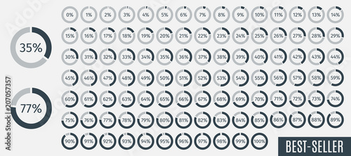 Set of circle percentage diagrams from 0 to 100 for infographics, lignt, 5 10 15 20 25 30 35 40 45 50 55 60 65 70 75 80 85 90 95 percent. Vector illustration.