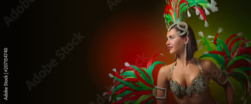  Beautiful woman in carnival costume.
