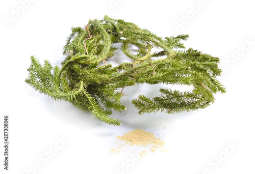 Dried medicinal herbs raw materials isolated on white. Plant with powder of Lycopodium clavatum