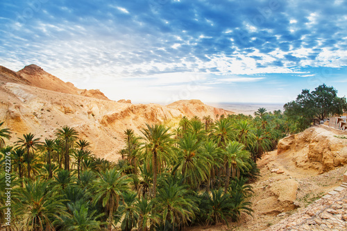 Scenic view of mountain oasis Chebika.