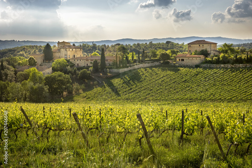 Chianti vineyards in Tuscany, Italy.