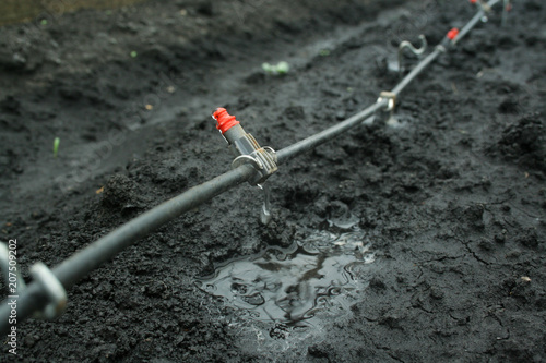 Irrigation system close up