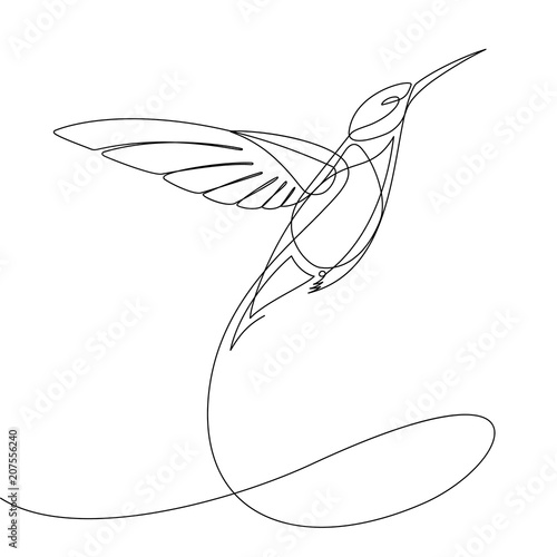 Humming Bird Continuous Line Vector