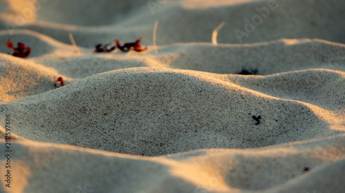 Pofalowany od wiatru piasek na bałtyckiej plaży