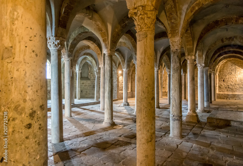 Crypt with a vaulted ceiling and lots of columns, Basilica of San Pietro, Tuscania, Viterbo, Lazio, Italy, Southern Europe