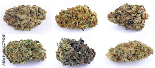Cannabis e marijuana con alto cbd e basso thc - fiore - droga leggera da fumare - sostanze legali e illegali - erba curativa - ganja 