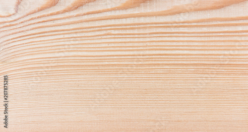 wood - Larch tree - natural wooden texture