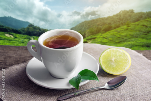 Cup of hot tea with a piece of lemon on the background of plantations. Concept tea beverage industry