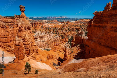 Geological Formations in Bryce Canyon National Park. Hoodoos (odd-shaped pillars of rock left standing from the forces of erosion) here in Bryce are the largest collection of hoodoos in the world.