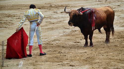torero en españa toreando a un toro