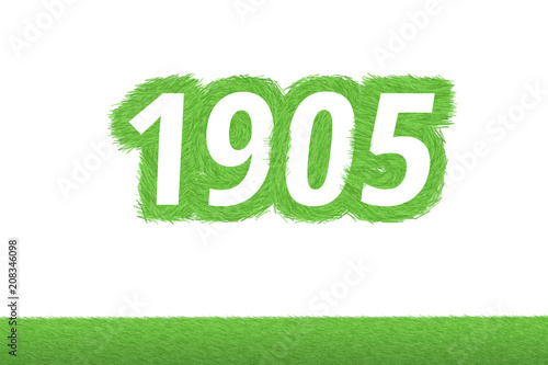 Jahr 1905 - weiße Zahl 1905 mit frischen gewachsenen grünen Grashalmen Symbol