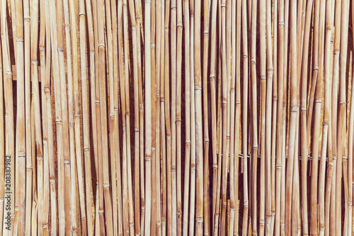The fence of the stalks of cane