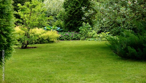 Green lawn surrounded by beautiful plants in a well-kept garden.