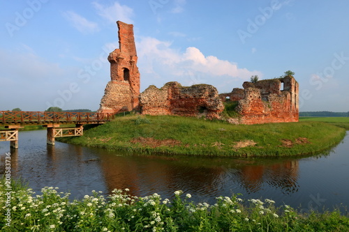 Pejzaż z malowniczymi ruinami zamku w Besiekierach, Polska, na zielonej wysepce otoczonej fosą z wodą, drewniany pomost, roślinność, pogodny letni dzień, błękitne niebo
