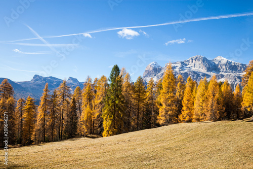 Gorgeous sunny view of Dolomite Alps with yellow larch trees. Colorful autumn panorama view landscape. Italy