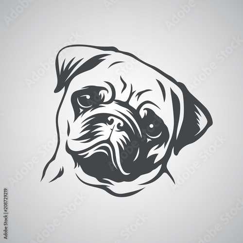 Cute pug dog head. Vector illustration.
