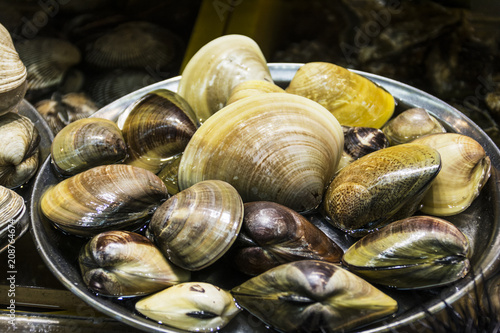 Muschelangebot auf dem Fischmarkt von Busan.