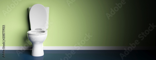 White toilet bowl on green painted wall background, banner, copy space. 3d illustration