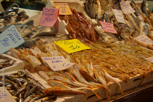 Small fresh fish in the covered market