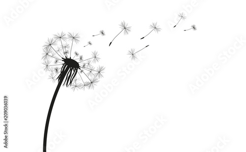 Pusteblume Silhouette