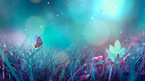 Butterfly in the grass on a meadow at night in the shining moonlight on nature in blue and purple tones, macro. Fabulous magical artistic image of a dream, copy space.