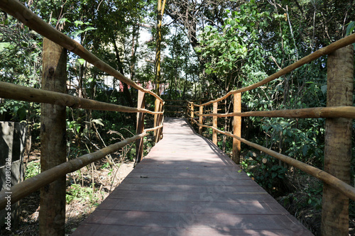 Ponte de madeira no meio da trilha do Parque Ecológico Eldorado em Contagem Minas Gerais