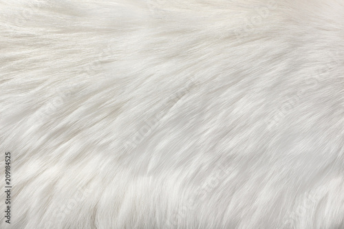 white natural fur background