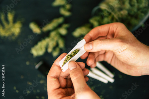 Rolled joint cannabis weed in hand of man Cones bud of marijuana flowers cannabis in hand of man black background