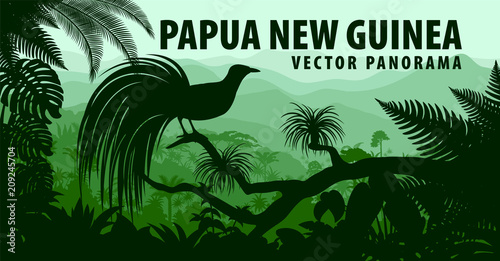 vector panorama of Papua New Guinea with lesser bird of paradise
