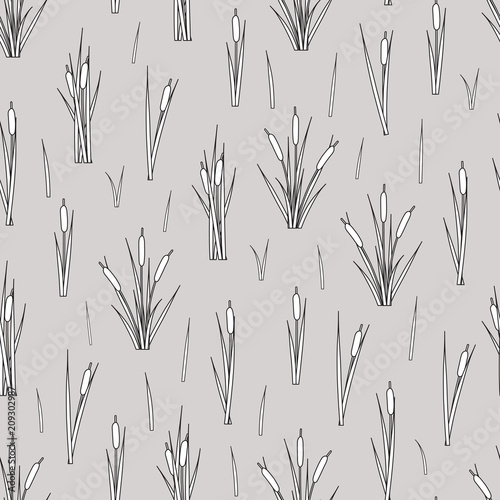 Seamless pattern of outline reed bushes.