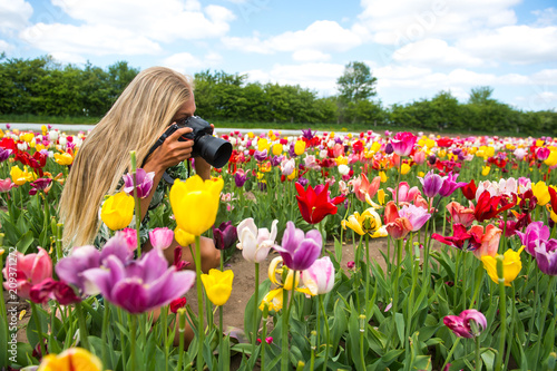 Junge Frau beim Fotografieren in einem Blumenfeld