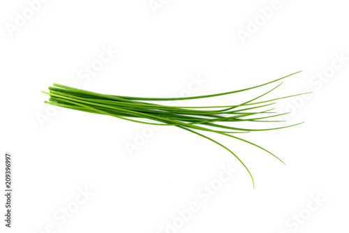 Fresh green chives, garden herbs, Isolated against a white background.