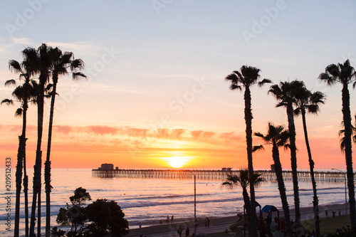 Palm Trees Beach Waves and Surf in Oceanside San Diego California
