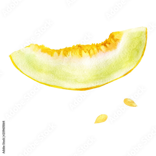 Watercolor illustration. A piece of melon.