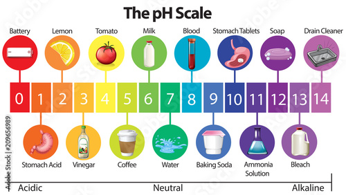 An Education Poster of pH Scale