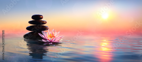 Zen Concept - Spa Stones And Waterlily In Lake At Sunset 