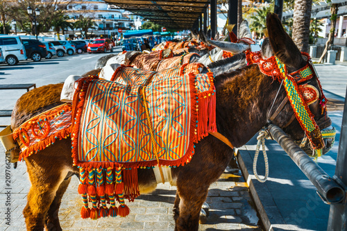 Close up of colorful decorated donkeys famous as Burro-taxi waiting for passengers in Mijas, a major tourist attraction. Andalusia, Spain