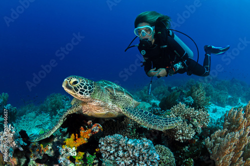 Turtle and girl