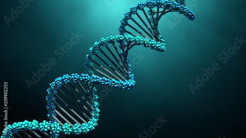 DNA molecule 