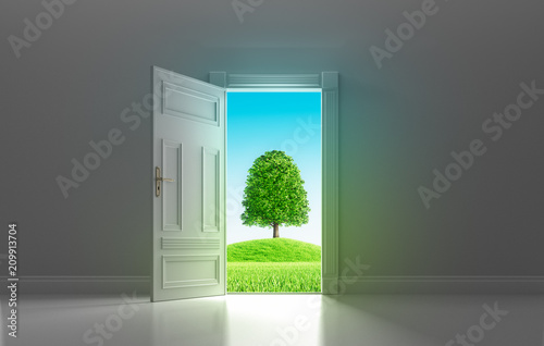 Tür mit Blick auf Baum und grünen Hügel