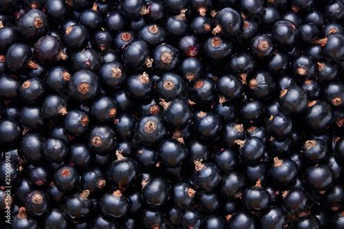 Full frame shot of freshly picked home grown blackcurrants.