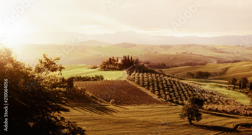 Beautiful natural landscape during sunset in tuscany