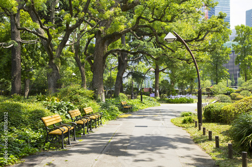 Landscape in Hibiya park